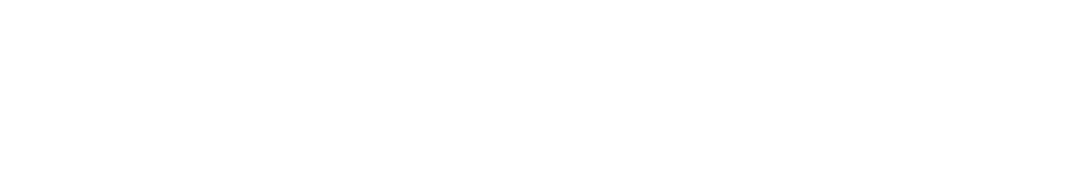 Data Hunter